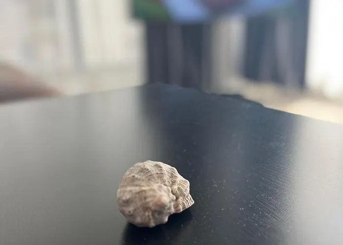 Sunrise Bel Air 2 דירה מאמאיה